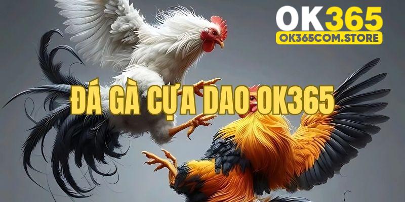 Đá gà cựa dao giải đấu uy tín và hấp dẫn nhất năm Đá gà cựa dao giải đấu uy tín và hấp dẫn nhất năm