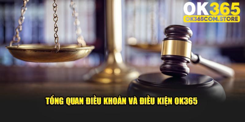 Đôi nét về điều khoản điều kiện tại OK365 Đôi nét về điều khoản điều kiện tại OK365